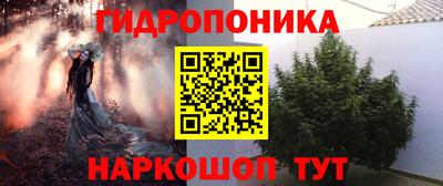 бошки Тула