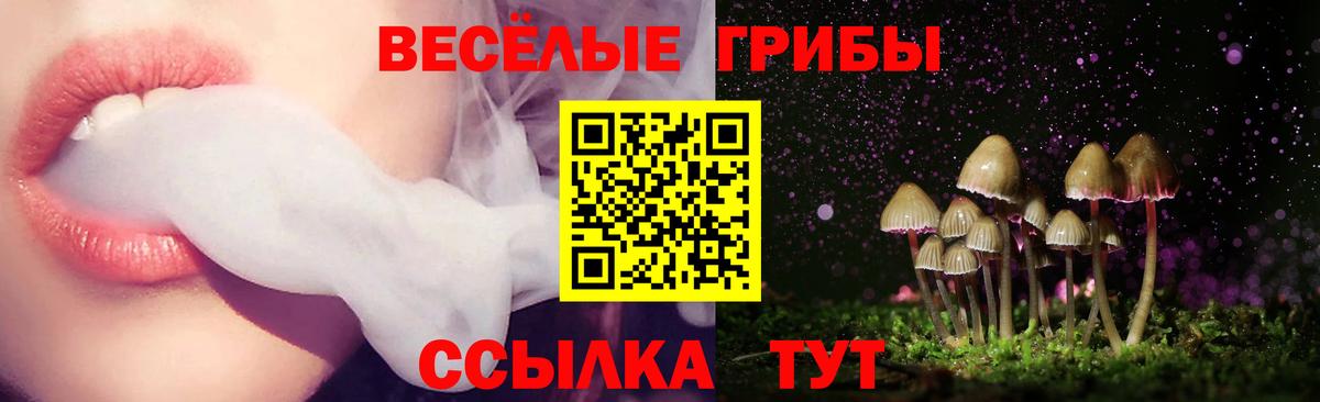 Псилоцибиновые грибы мухоморы  Вход с VPN  Богданович 